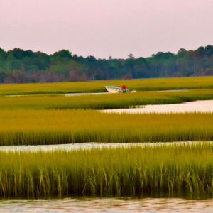 Photo #12 of 22 SEAVIEW ST, ACCOMAC, VA 3.0 acres