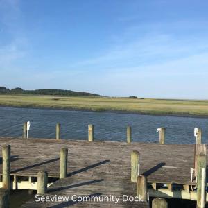 Photo #7 of 22 SEAVIEW ST, ACCOMAC, VA 3.0 acres