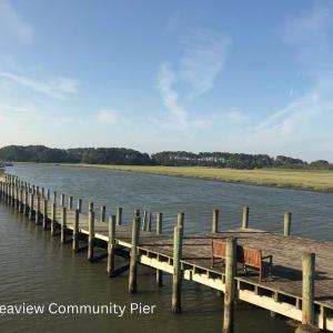 Photo #8 of 22 SEAVIEW ST, ACCOMAC, VA 3.0 acres