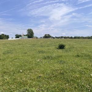 Photo #4 of 2010 KNIGHTLY MILL RD, NEW HOPE, VA 86.1 acres