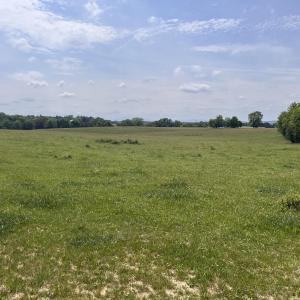 Photo #3 of 2010 KNIGHTLY MILL RD, NEW HOPE, VA 86.1 acres