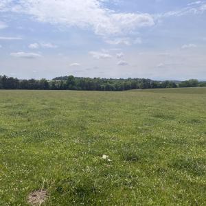 Photo #5 of 2010 KNIGHTLY MILL RD, NEW HOPE, VA 86.1 acres