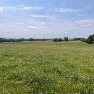 Photo #1 of 2010 KNIGHTLY MILL RD, NEW HOPE, VA 86.1 acres