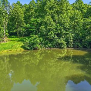 Photo #4 of JORDAN HOLLOW RD, STANLEY, VA 56.7 acres