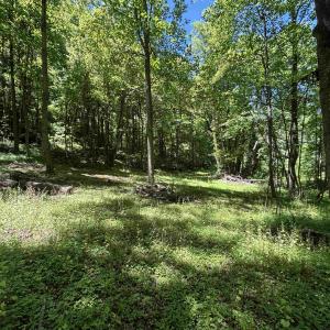 Photo #13 of JORDAN HOLLOW RD, STANLEY, VA 56.7 acres