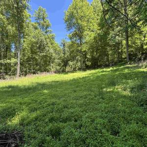 Photo #15 of JORDAN HOLLOW RD, STANLEY, VA 56.7 acres