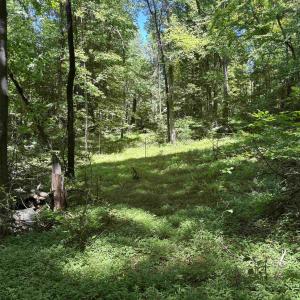 Photo #14 of JORDAN HOLLOW RD, STANLEY, VA 56.7 acres