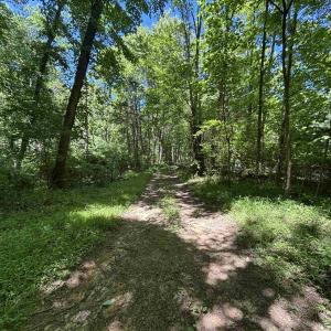 Trail around/across property