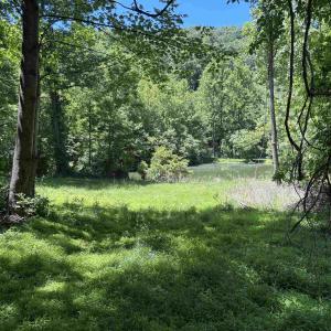 Photo #10 of JORDAN HOLLOW RD, STANLEY, VA 56.7 acres
