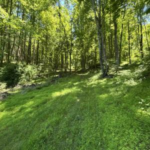 Photo #20 of JORDAN HOLLOW RD, STANLEY, VA 56.7 acres
