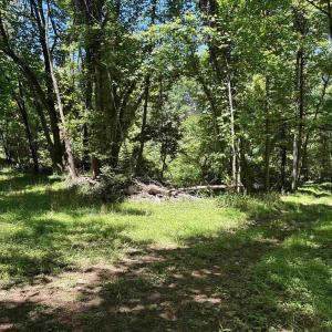 Photo #12 of JORDAN HOLLOW RD, STANLEY, VA 56.7 acres