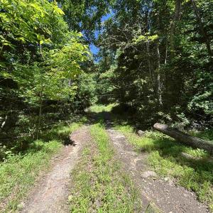 Trail around/across property