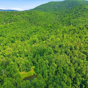 Photo #25 of JORDAN HOLLOW RD, STANLEY, VA 56.7 acres