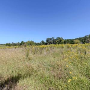 Photo #2 of 2593 CUMBERLAND RD, CUMBERLAND, VA 99.0 acres