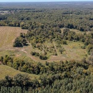 Photo #10 of 2593 CUMBERLAND RD, CUMBERLAND, VA 99.0 acres