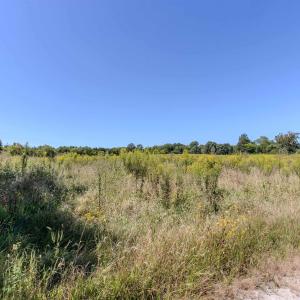Photo #4 of 2593 CUMBERLAND RD, CUMBERLAND, VA 99.0 acres