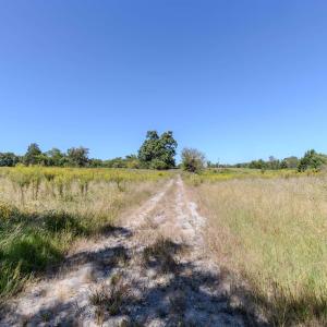 Photo #3 of 2593 CUMBERLAND RD, CUMBERLAND, VA 99.0 acres