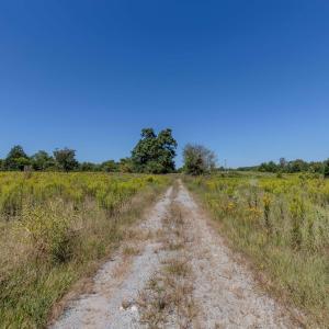Photo #5 of 2593 CUMBERLAND RD, CUMBERLAND, VA 99.0 acres