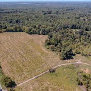 Photo #9 of 2593 CUMBERLAND RD, CUMBERLAND, VA 99.0 acres