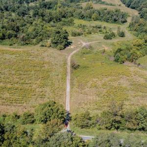 Photo #7 of 2593 CUMBERLAND RD, CUMBERLAND, VA 99.0 acres