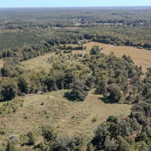 Photo #13 of 2593 CUMBERLAND RD, CUMBERLAND, VA 99.0 acres