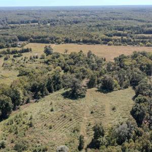 Photo #12 of 2593 CUMBERLAND RD, CUMBERLAND, VA 99.0 acres