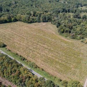 Photo #8 of 2593 CUMBERLAND RD, CUMBERLAND, VA 99.0 acres