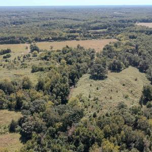 Photo #11 of 2593 CUMBERLAND RD, CUMBERLAND, VA 99.0 acres
