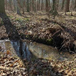 Photo #10 of 1 MAPLE BRIDGE RD, DILLWYN, VA 24.6 acres