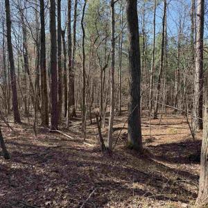 Photo #6 of 1 MAPLE BRIDGE RD, DILLWYN, VA 24.6 acres