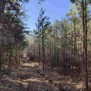 Photo #4 of 1 MAPLE BRIDGE RD, DILLWYN, VA 24.6 acres