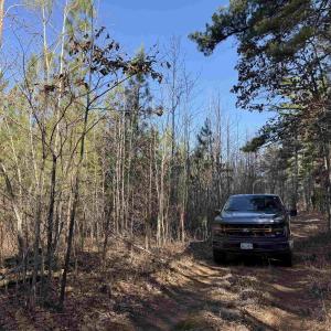 Photo #3 of 1 MAPLE BRIDGE RD, DILLWYN, VA 24.6 acres