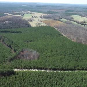 Photo #1 of 1 MAPLE BRIDGE RD, DILLWYN, VA 24.6 acres