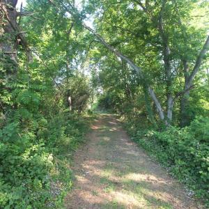Photo #10 of 4480-A STONY POINT RD, BARBOURSVILLE, VA 7.0 acres
