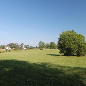 Photo #8 of 4480-A STONY POINT RD, BARBOURSVILLE, VA 7.0 acres