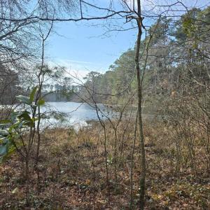 Photo #4 of BAYSIDE RD, GREENBUSH, VA 1.5 acres