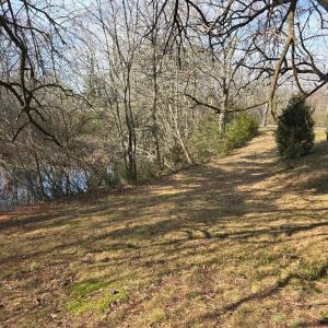 Photo #3 of BAYSIDE RD, GREENBUSH, VA 1.5 acres