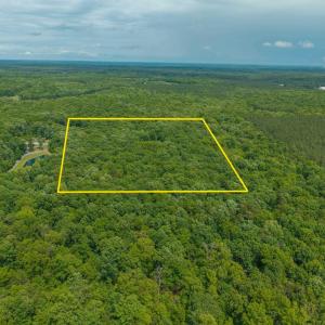 Photo #14 of TBD ROCK LN, SCOTTSVILLE, VA 20.0 acres