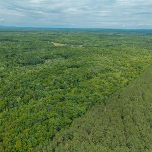 Photo #17 of TBD ROCK LN, SCOTTSVILLE, VA 20.0 acres