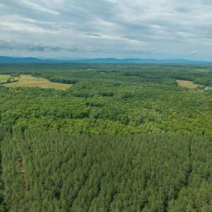 Photo #18 of TBD ROCK LN, SCOTTSVILLE, VA 20.0 acres