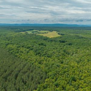 Photo #19 of TBD ROCK LN, SCOTTSVILLE, VA 20.0 acres