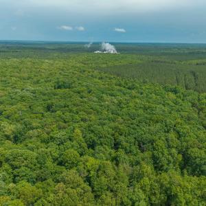 Photo #16 of TBD ROCK LN, SCOTTSVILLE, VA 20.0 acres