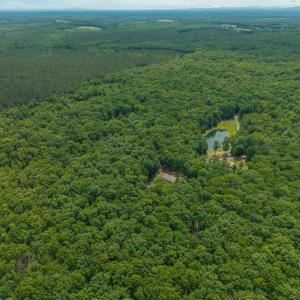 Photo #21 of TBD ROCK LN, SCOTTSVILLE, VA 20.0 acres
