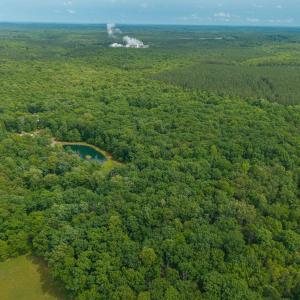 Photo #12 of TBD ROCK LN, SCOTTSVILLE, VA 20.0 acres