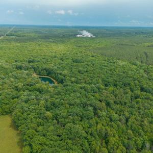 Photo #11 of TBD ROCK LN, SCOTTSVILLE, VA 20.0 acres