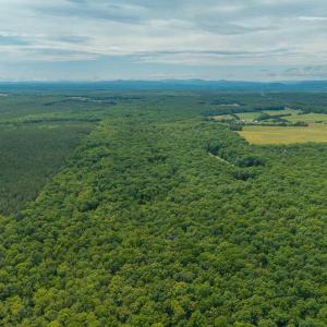 Photo #22 of TBD ROCK LN, SCOTTSVILLE, VA 20.0 acres