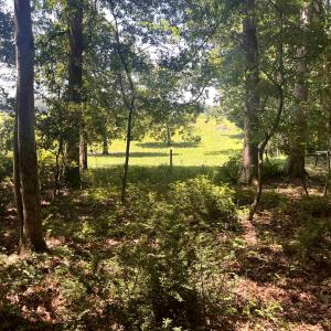 Photo #8 of TBD SPOTTSWOOD RD, SPOTTSWOOD, VA 3.6 acres