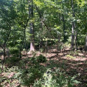 Photo #9 of TBD SPOTTSWOOD RD, SPOTTSWOOD, VA 3.6 acres