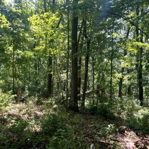 Photo #6 of TBD SPOTTSWOOD RD, SPOTTSWOOD, VA 3.6 acres