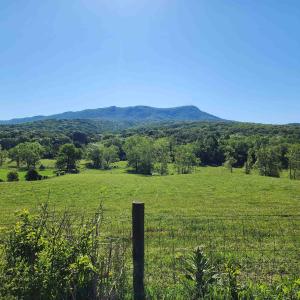 Photo #14 of TBD INDIAN TRAIL RD, PENN LAIRD, VA 31.6 acres